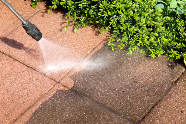 Best Roof Power Washing Services  in Sabina, OH